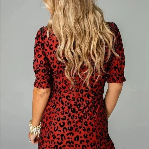 🍀 Buddy Love Velvet Cheetah Dress size x-small in burgundy NWT - Picture 2 of 8